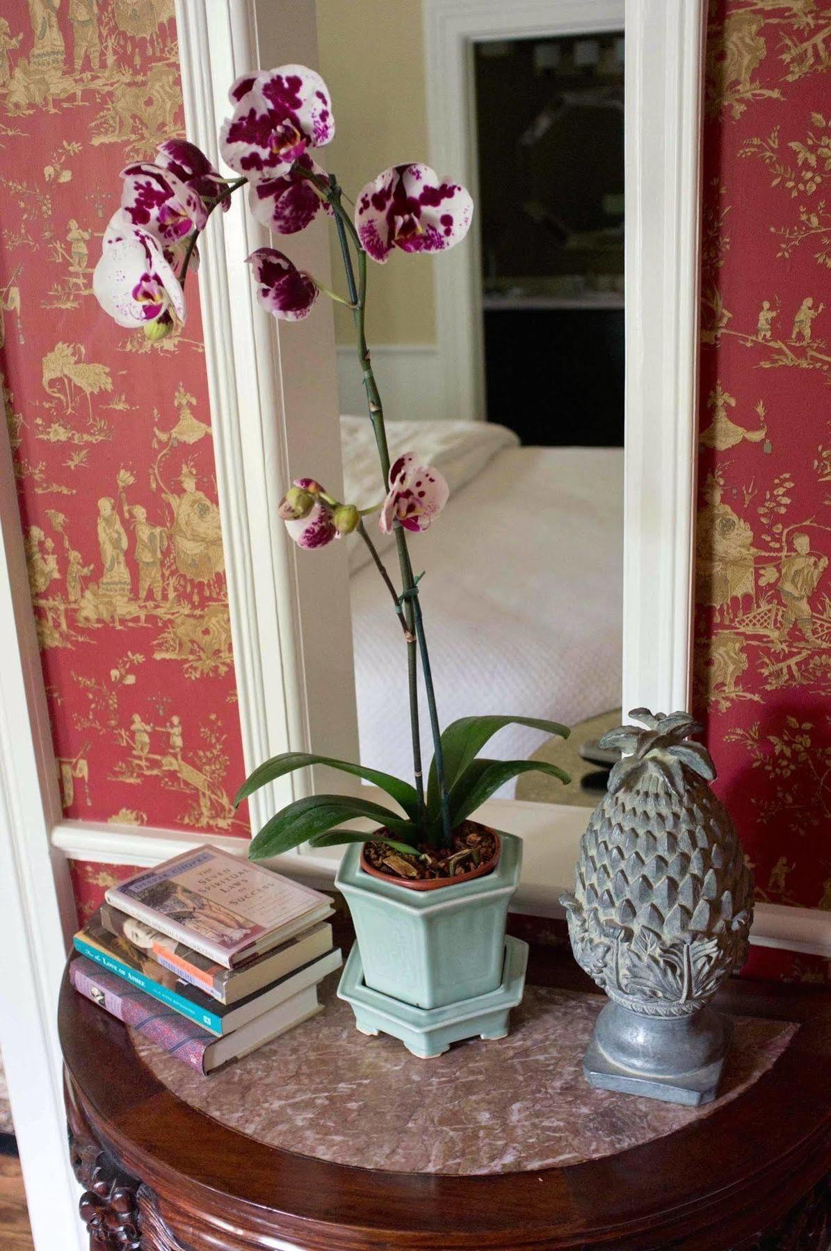 Embrace Calistoga Bed & Breakfast エクステリア 写真